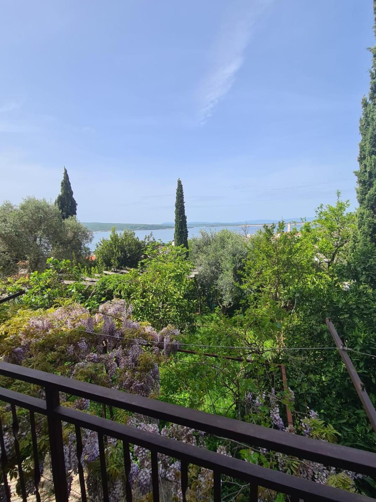 Apartament Jaka *